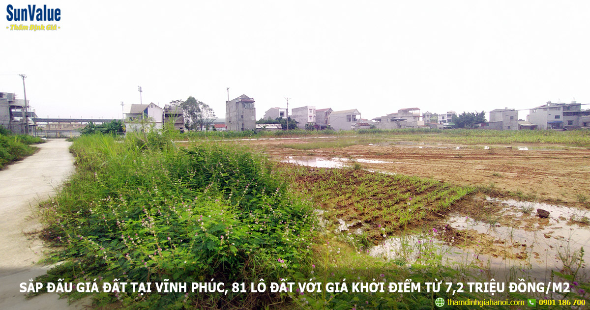 Sắp đấu giá đất tại Vĩnh Phúc, 81 lô đất với giá khởi điểm từ 7,2 triệu đồng/m2