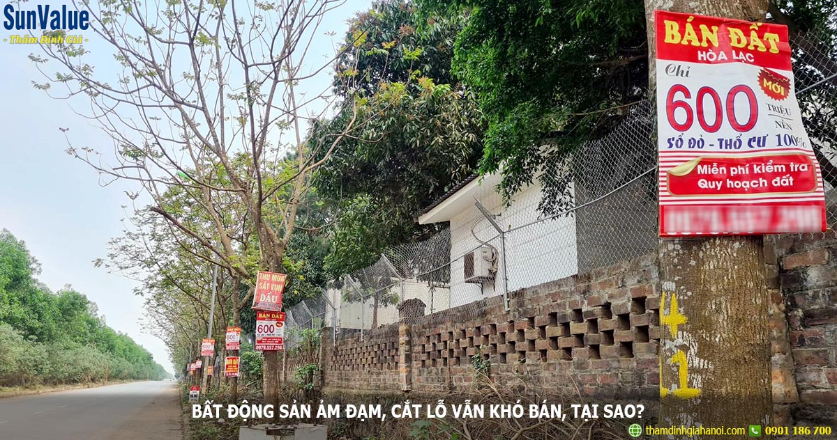 bat dong san vung ven, cat lo bds, dinh gia bds