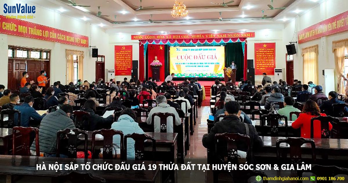 đấu giá qsd đất, đấu thầu đất hà nội, đất sóc sơn