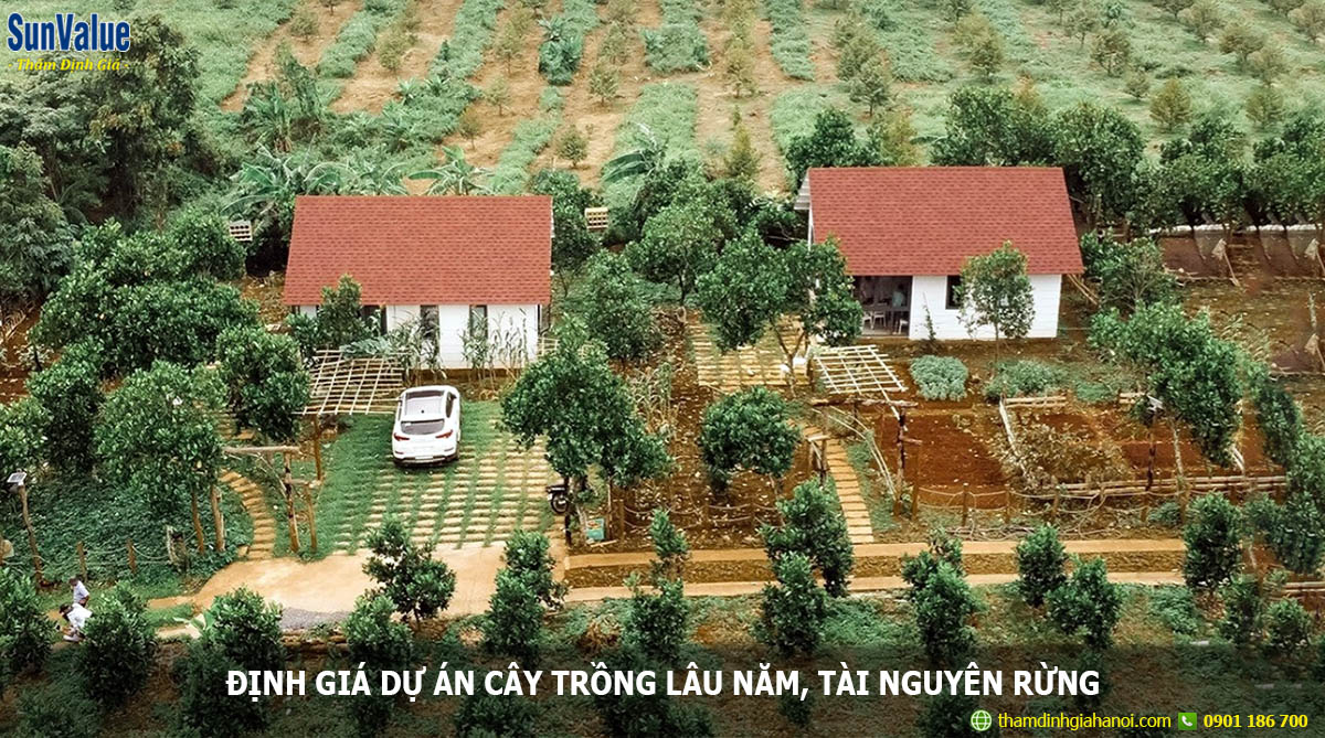 đất trồng cây lâu năm, định giá đất nông nghiệp, định giá dự án cây trồng, định giá đất trồng cây lâu năm