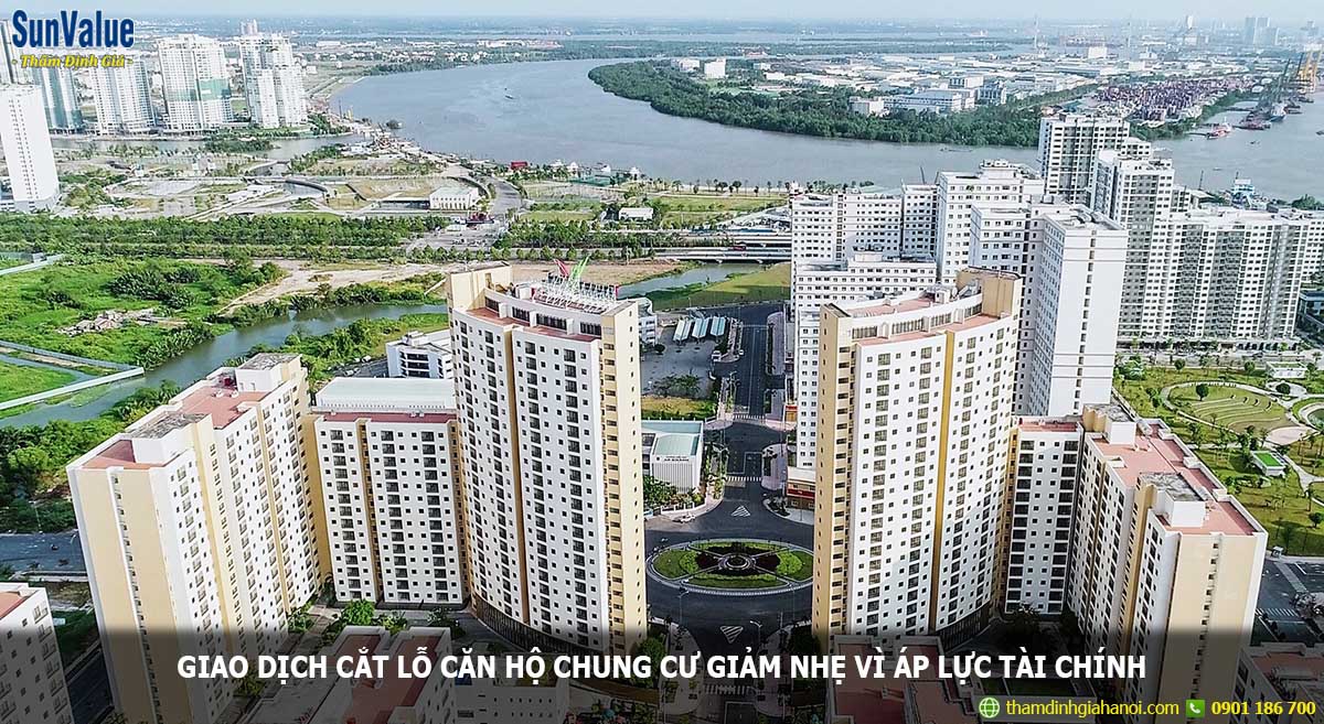 can ho chung cu, giao dịch cắt lỗ, bất động sản