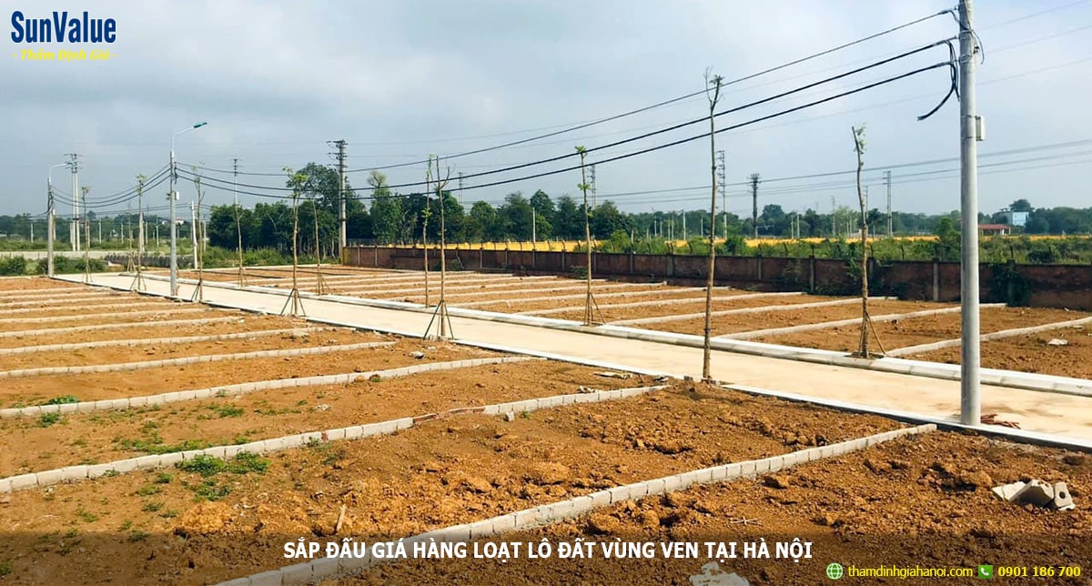 sắp đấu giá hàng loạt lô đất, đấu giá bđs, định giá đất nền, đất nền ven đô hà nội