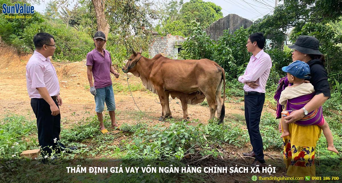 định giá vay ngân hàng, vay ngân hàng chính sách, định giá tài sản thế chấp